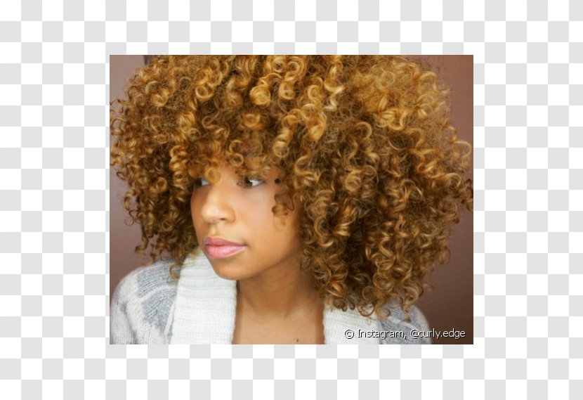 Afro Blond Hair Coloring Brown - Long Transparent PNG