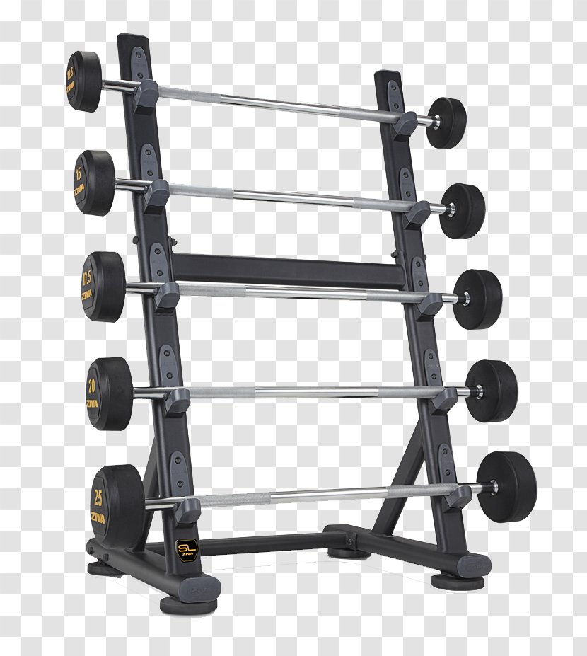 Fitness Centre Dumbbell Exercise Equipment Weight Training - Structure - Barbell Transparent PNG