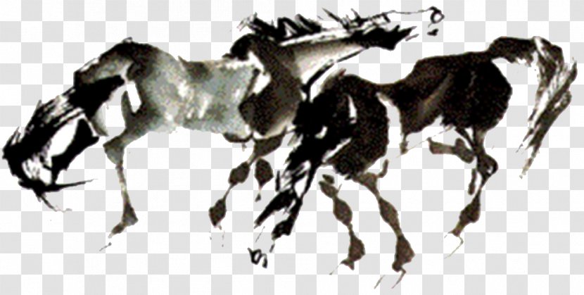 Black & White 2 Mustang And - Horse Tack - Race Transparent PNG