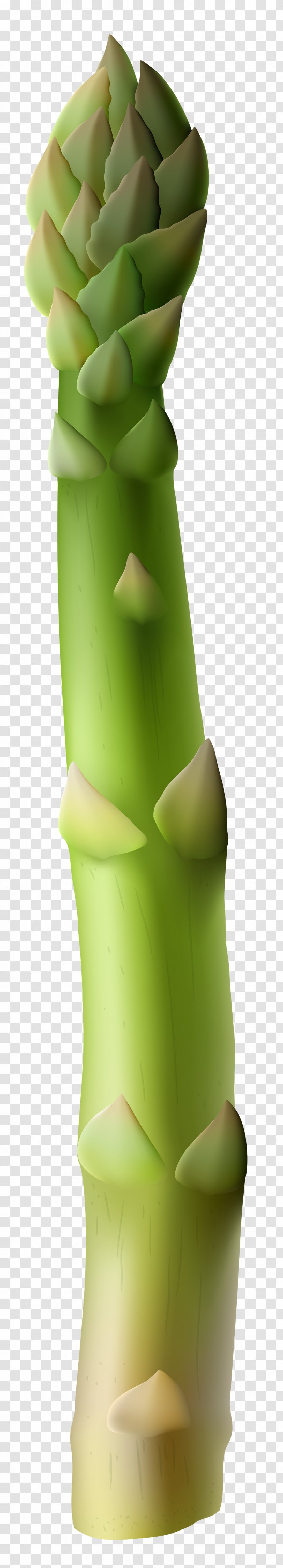 Asparagus Quiche Vegetable Risotto Clip Art - Vase Transparent PNG