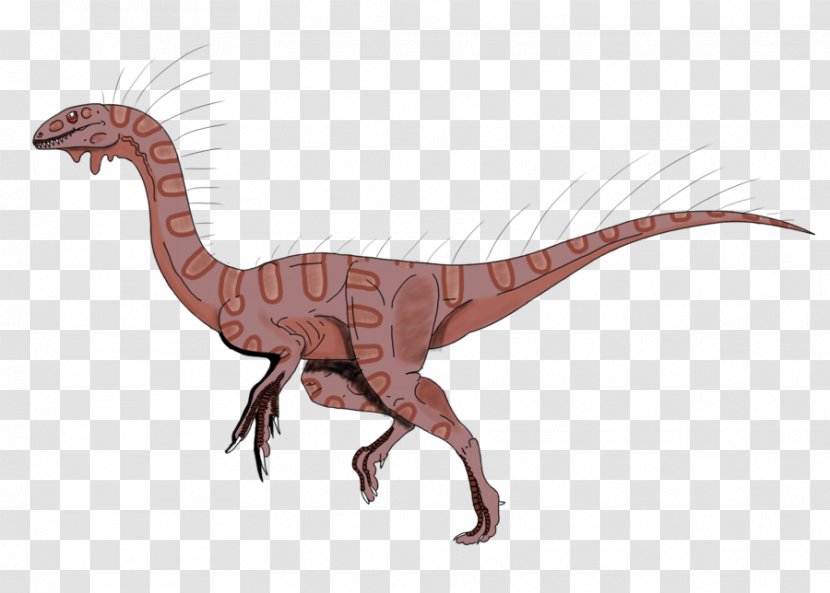 Velociraptor Kronosaurus Tyrannosaurus Reptile Albertosaurus - Dinosaur - Animal Figure Transparent PNG