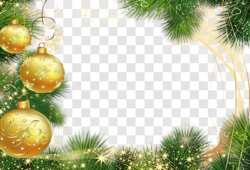 New Year Card Year's Day Christmas Greeting - Grass - Decoration Transparent PNG