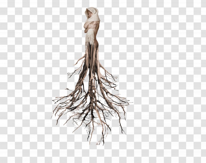 Tree Root - Twig - Creepy Transparent PNG