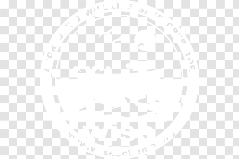 Toronto United States Capitol Logo Photograph Film - Museum - International Festival Transparent PNG