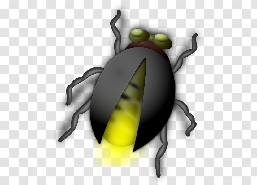 Beetle Free Content Firefly Clip Art - Pollinator - Cliparts Transparent PNG
