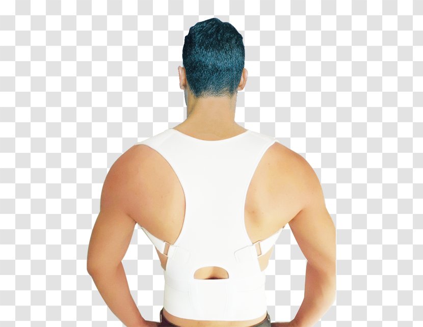 Pain In Spine Poor Posture Back Brace Lumbar Neutral - Heart Transparent PNG