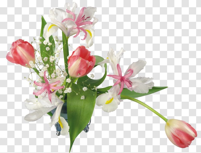 Balatonederics Nemesvita Holiday Spring Flower - Ru - Plant Flowers Creative Floral Patterns Transparent PNG