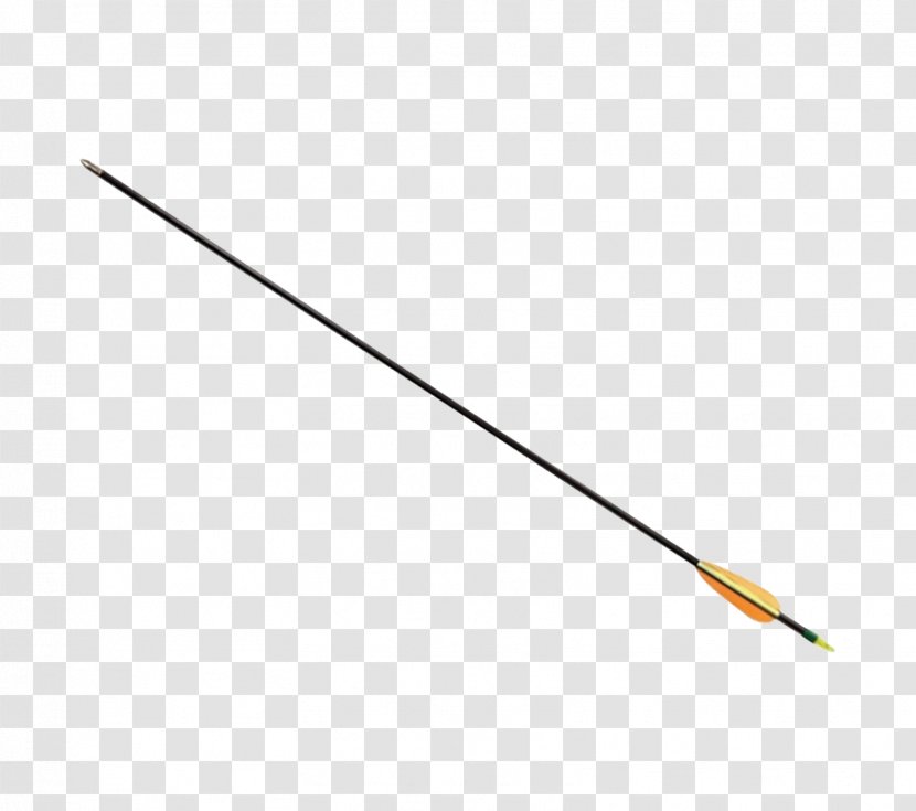 Egg Cartoon - Handsewing Needles - Baton Health Transparent PNG