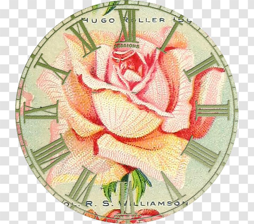 Clock Face Garden Roses Antique Floral Design - Think Safety Clocks Transparent PNG