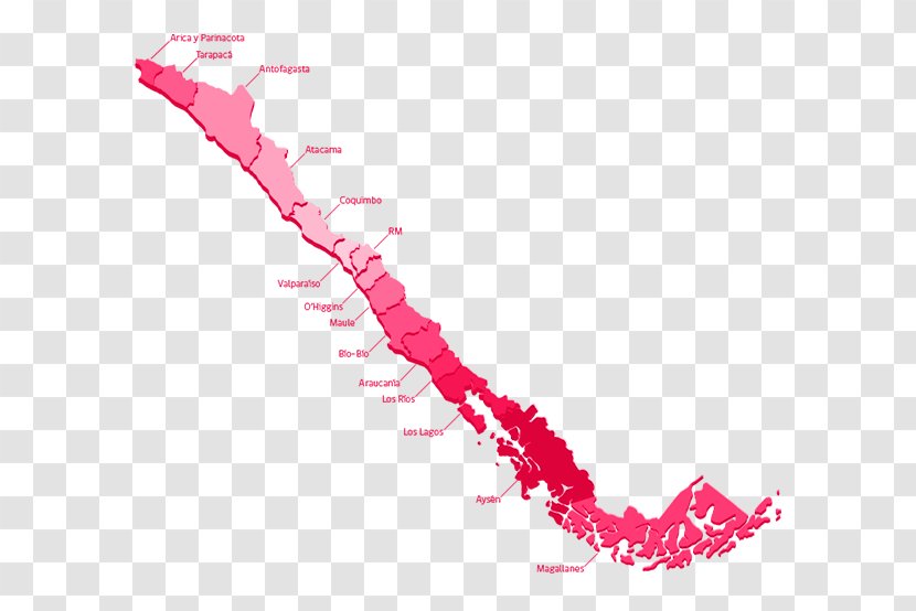 Sierra Gorda, Chile Company Service Industry Mining - Pink - Codelco Transparent PNG