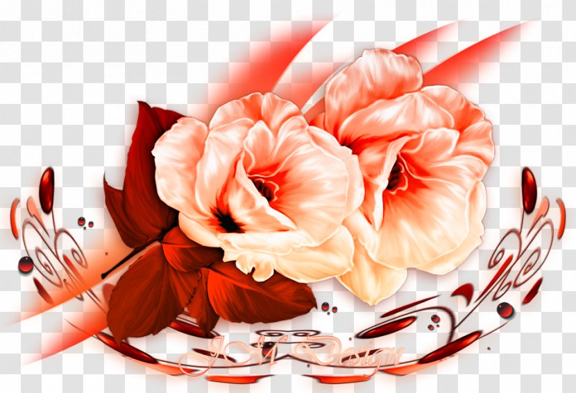 Floral Design Cut Flowers Yandex Search Flower Bouquet - Flavor - Marjan Jonkman Transparent PNG