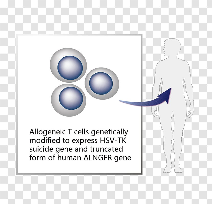 Graphic Design Diagram Human Behavior Shoulder - Cartoon Transparent PNG