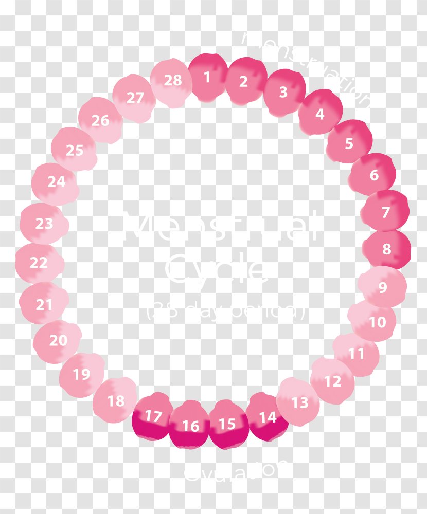 Charm Bracelet Menstrual Cycle Pandora Menstruation - Necklace - Due Date Transparent PNG