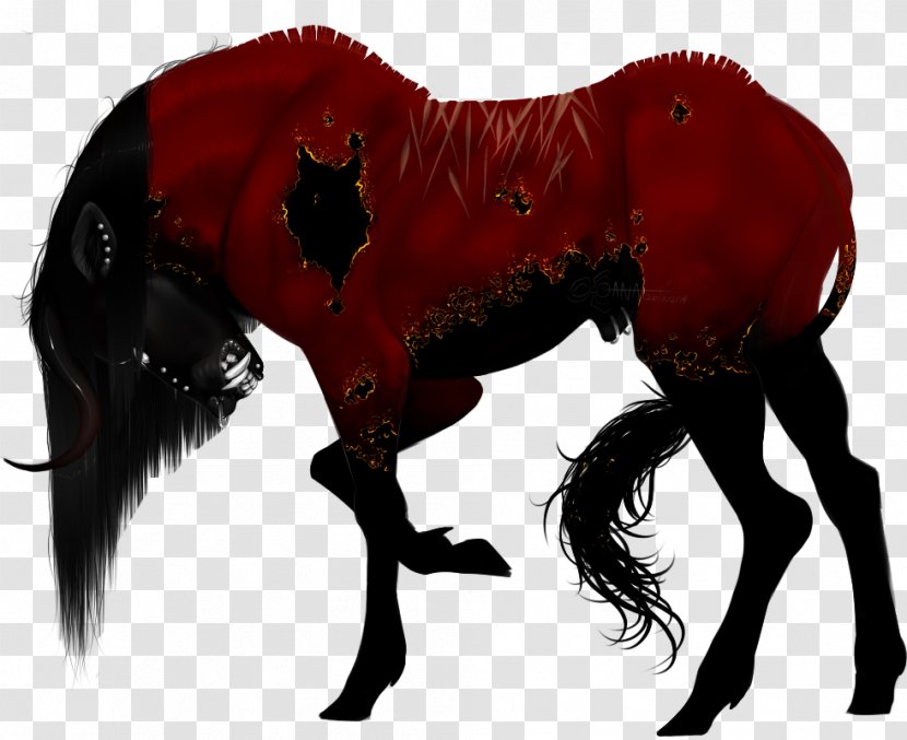 Mustang Pony Stallion Art Pack Animal - Snout Transparent PNG