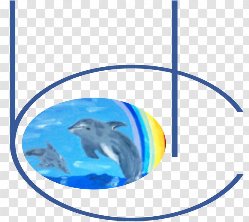 Coaching Dolphin Healing Reiki - Whales Dolphins And Porpoises Transparent PNG