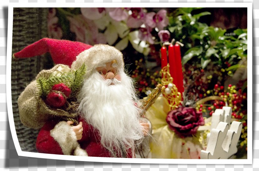 Santa Claus Viterbo Coca-Cola NORAD Tracks Christmas - Reindeer Transparent PNG