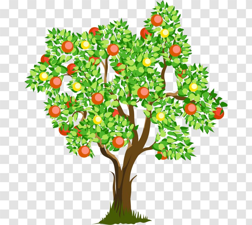 Powell Pediatric Therapy Occupational Child Sensory Processing - Infant - Fruittree Vector Transparent PNG