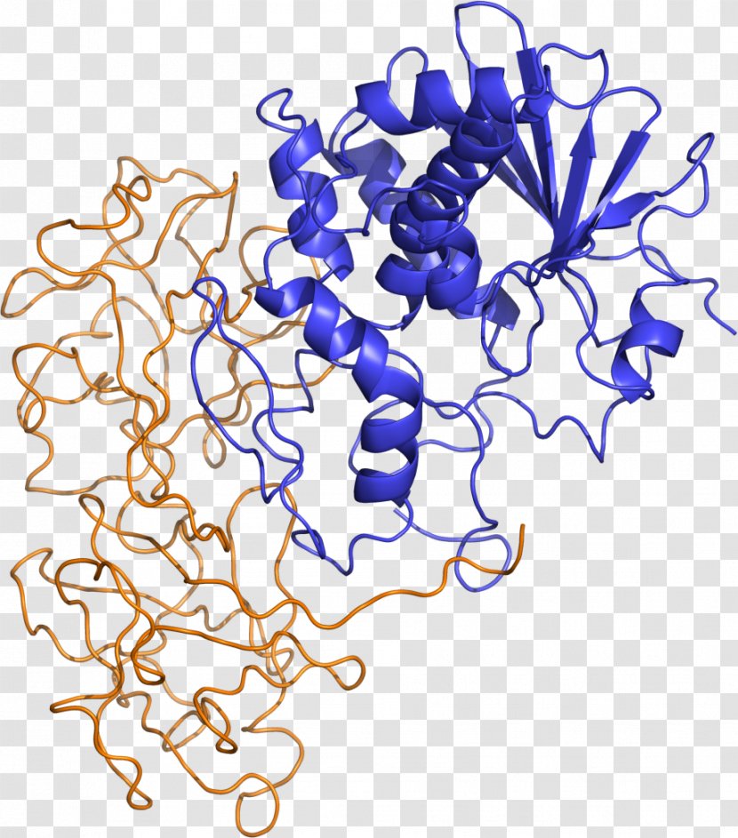 Ricinus Shiga Toxin Ribosome-inactivating Protein - Area - Organism Transparent PNG