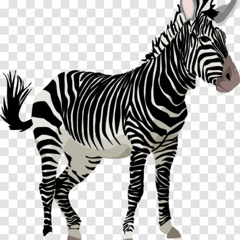 Clip Art Zebra Horse Pillow - Decorative Arts Transparent PNG