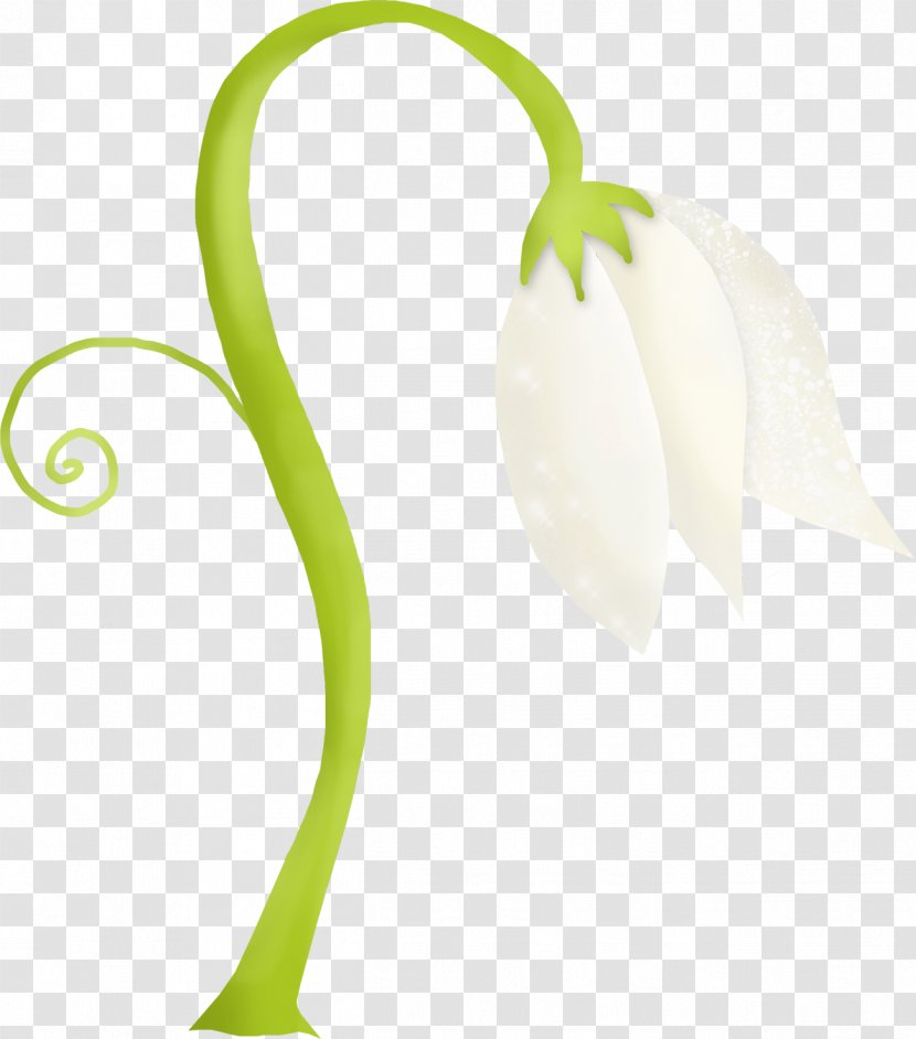 Petal Leaf Medicine Alternative Health Services - Flower Transparent PNG