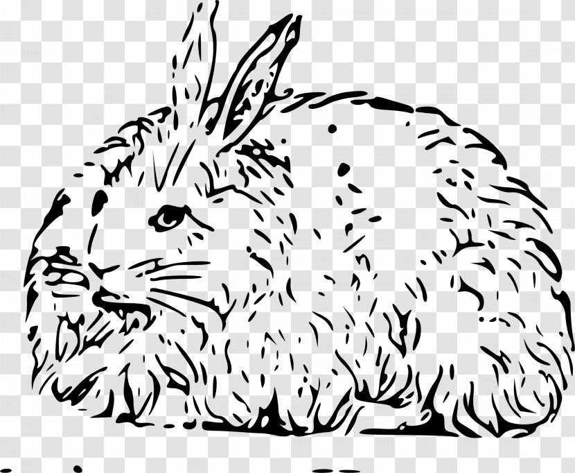 Angora Rabbit Easter Bunny Hare Domestic Clip Art - Vertebrate Transparent PNG