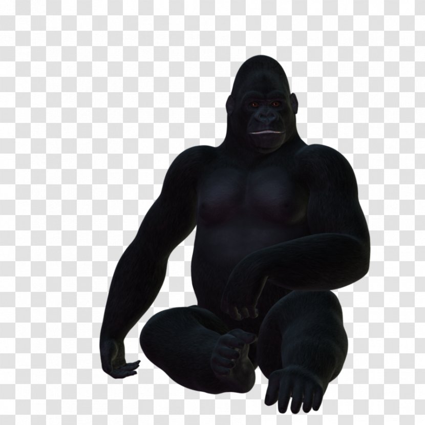 Western Gorilla Primate PhotoScape GIMP - Great Apes Transparent PNG