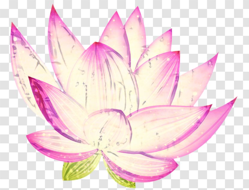 Pink Flower Cartoon - Decal - Wildflower Magenta Transparent PNG