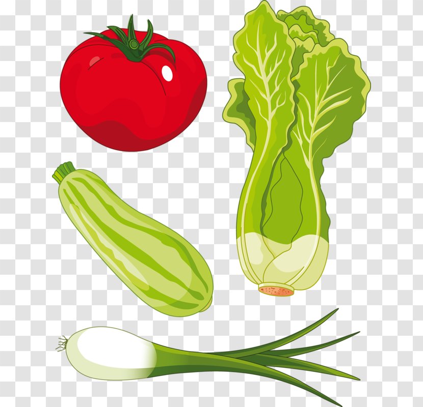Romaine Lettuce Salad Clip Art - Free Content - There Vegetable Plot Transparent PNG