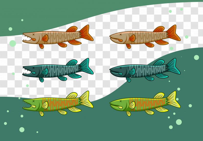 Text Marine Biology Fish Fauna Illustration - Collection Transparent PNG