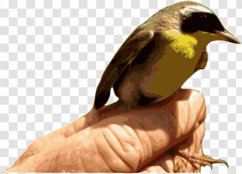 Bird Clip Art - Fauna - CRANE BIRD Transparent PNG