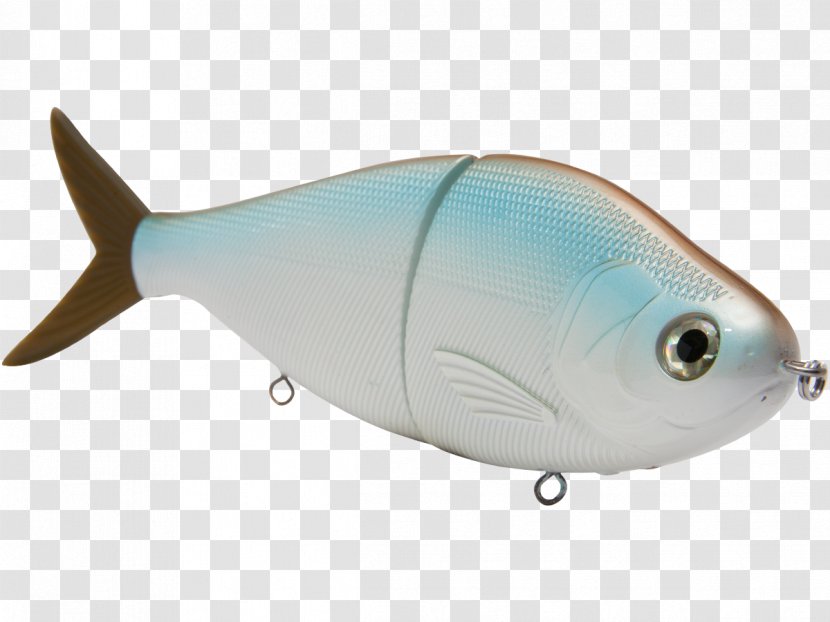 Milkfish Marine Biology Mammal Tow Hitch - Redfish Transparent PNG