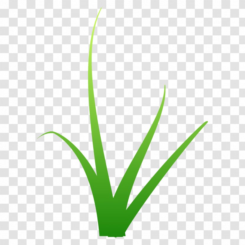 Green Leaf Plant Grass Family - Logo Terrestrial Transparent PNG