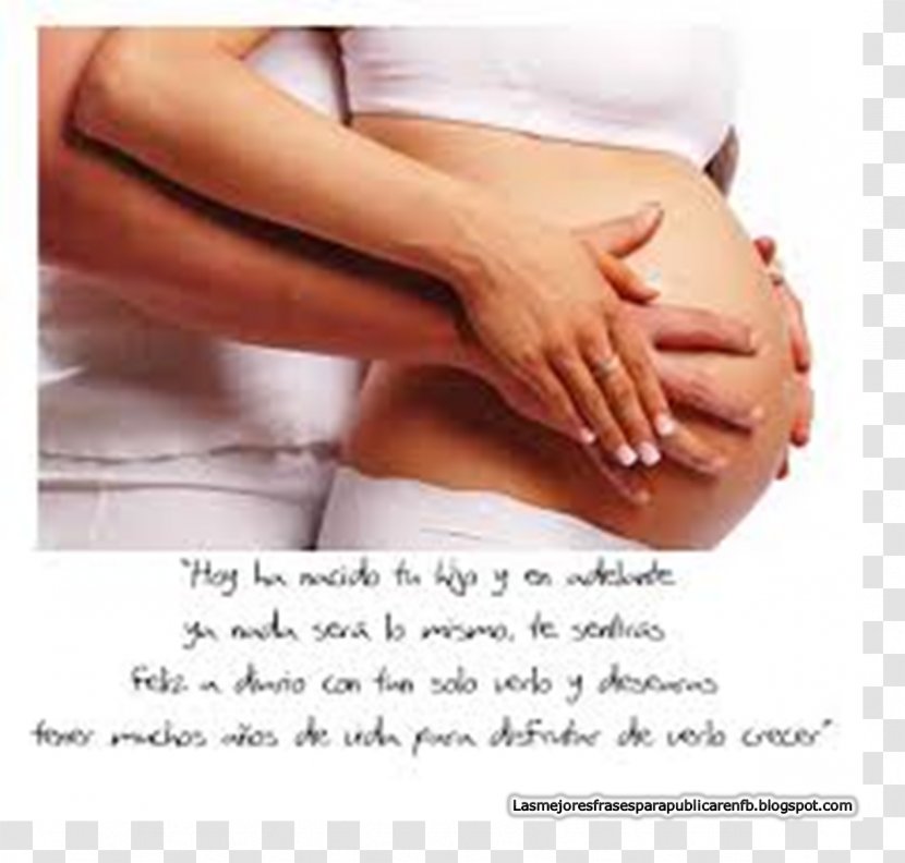 Pregnancy Childbirth Infant Doula Gestation - Flower Transparent PNG