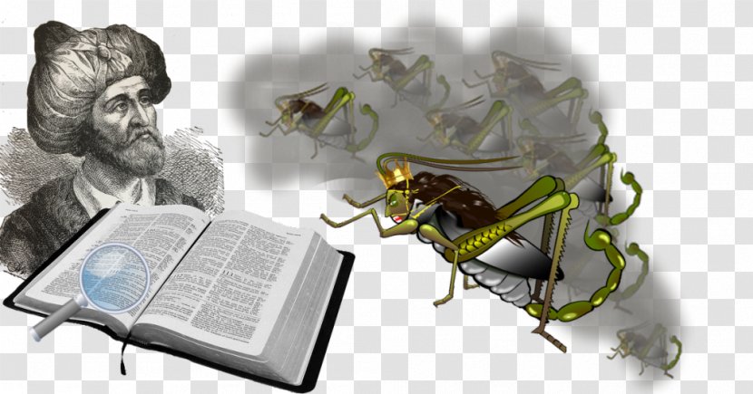Prophet Bible Human Behavior Painting - Membrane Winged Insect - Daniel The Transparent PNG