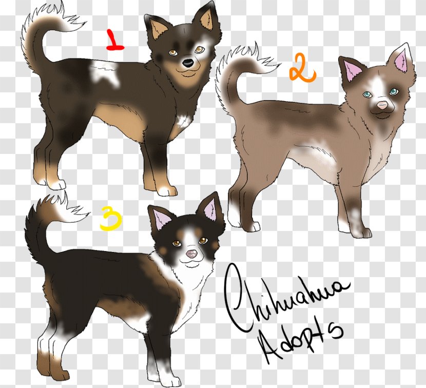 Chihuahua Border Collie Norwegian Lundehund Cat Puppy - Pet Transparent PNG