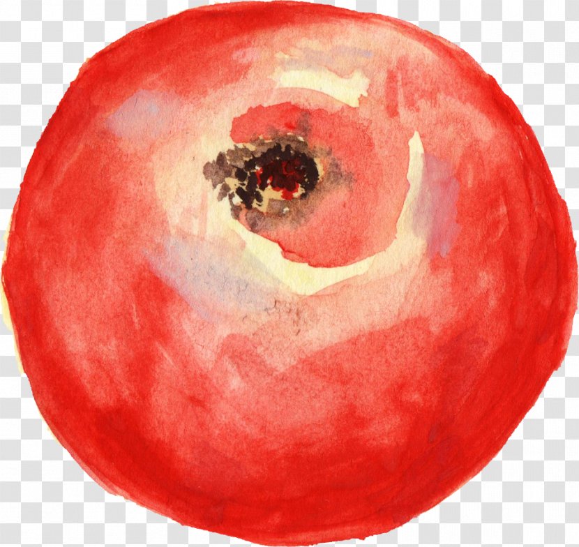 Tomato Watercolor Painting Clip Art Transparent PNG