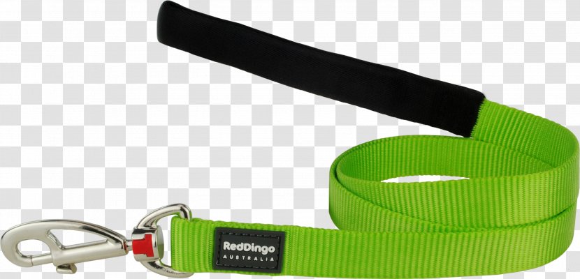 Leash Dog Collar Cat Dingo - Hardware Transparent PNG