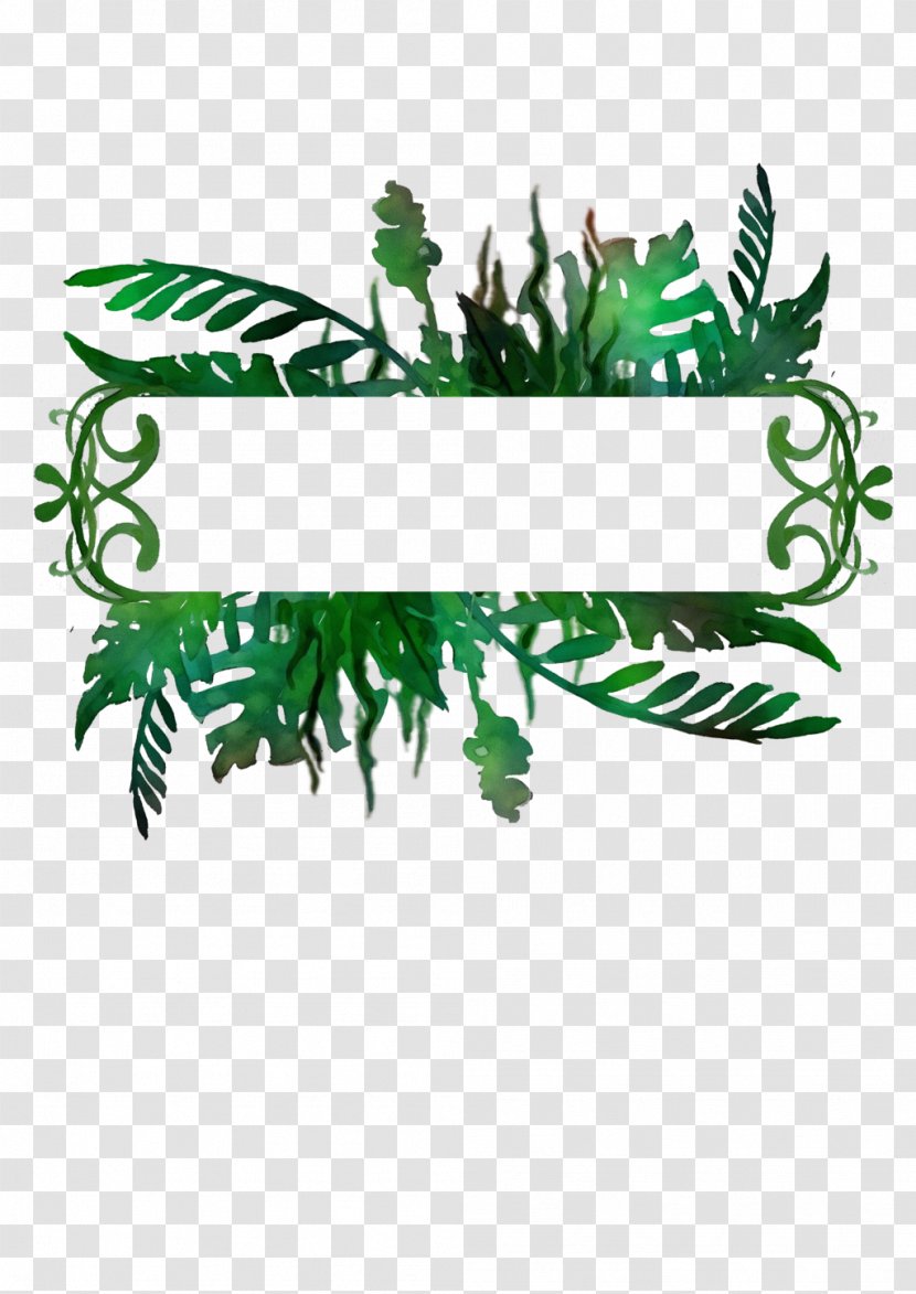 Green Leaf Plant Grass Vascular - Logo Transparent PNG