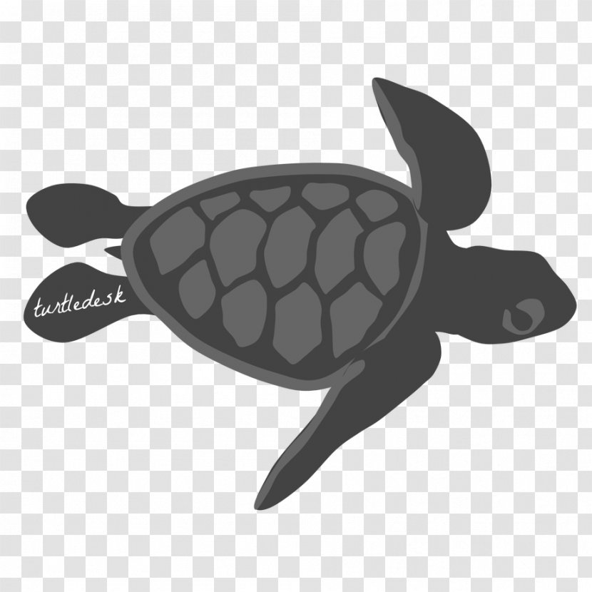 Graphic Design Art Turtle - Artist Transparent PNG