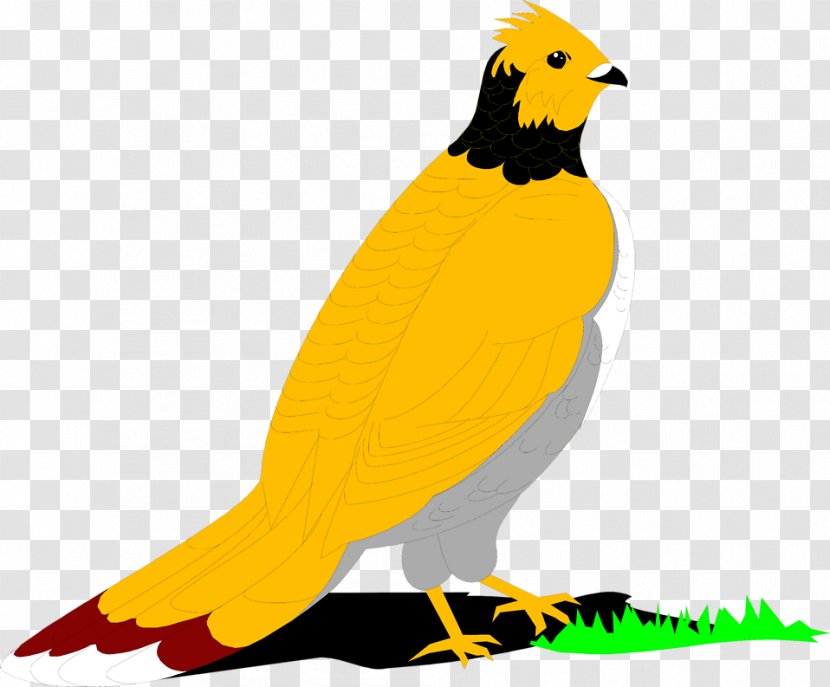 Bird Ruffed Grouse English Setter Clip Art - Wing - Little Yellow Transparent PNG