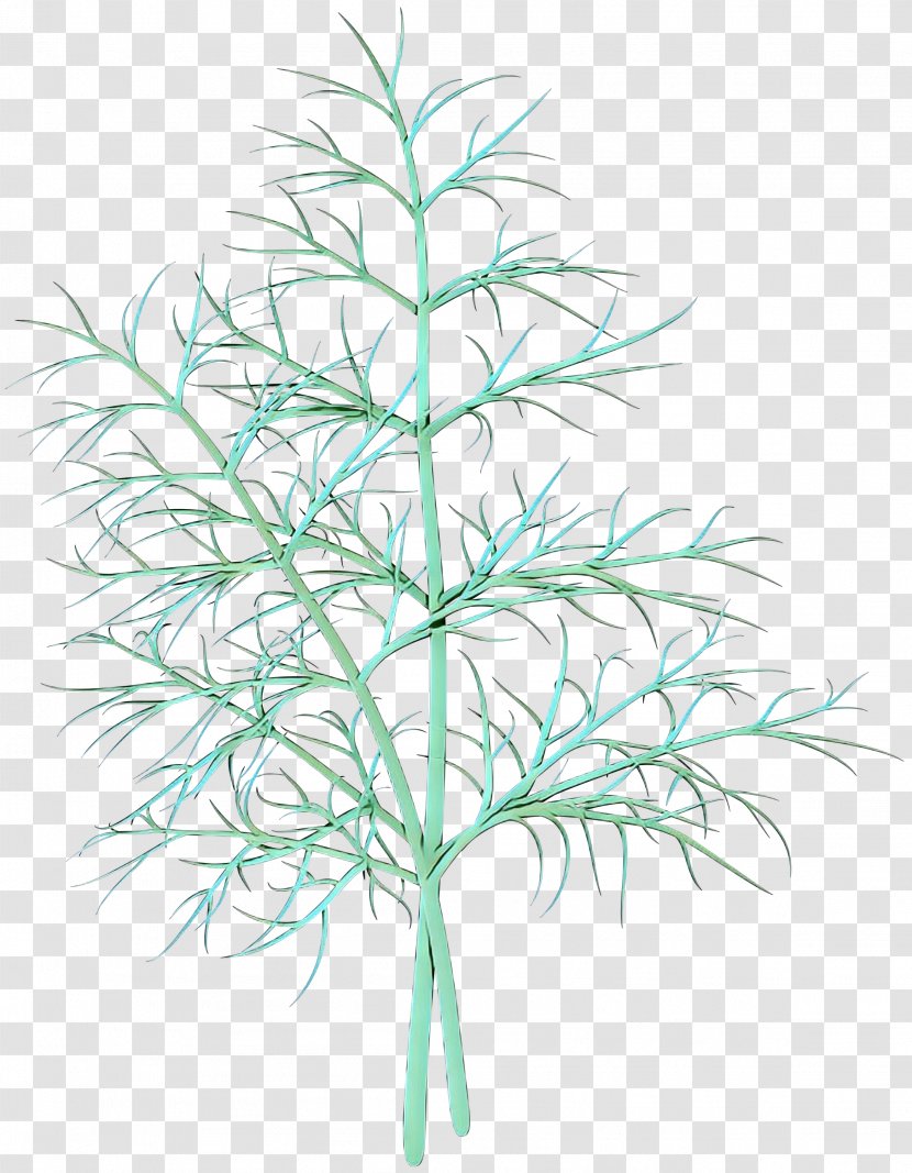 Plant Stem Line Leaf Grasses Plants - Tree - Twig Transparent PNG