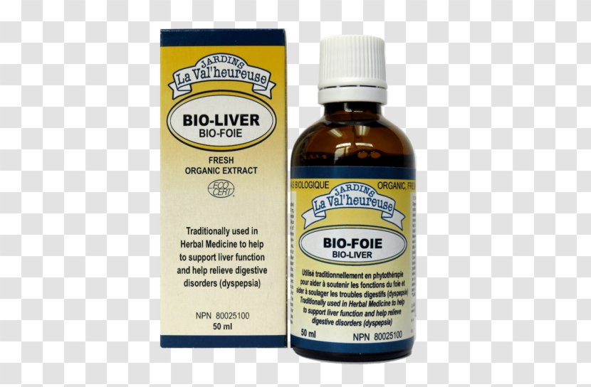 Dietary Supplement Pharmaceutical Drug Health Digestive Enzyme Extract - Liquid Transparent PNG