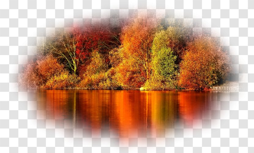 Desktop Wallpaper Screensaver Autumn IPhone 6 - Display Resolution Transparent PNG