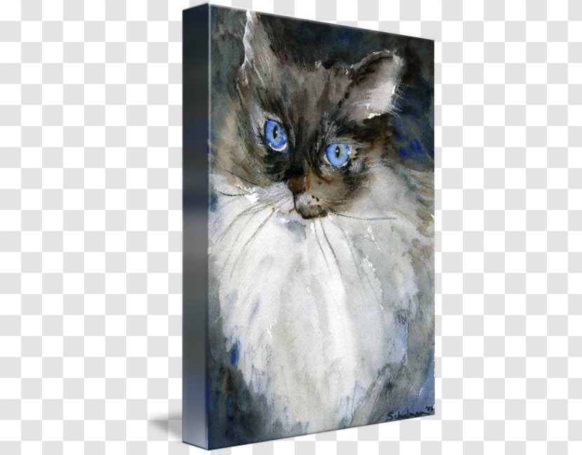 Ragdoll Whiskers Kitten Domestic Short-haired Cat Siamese - Persian - Watercolor Painting Animal Transparent PNG