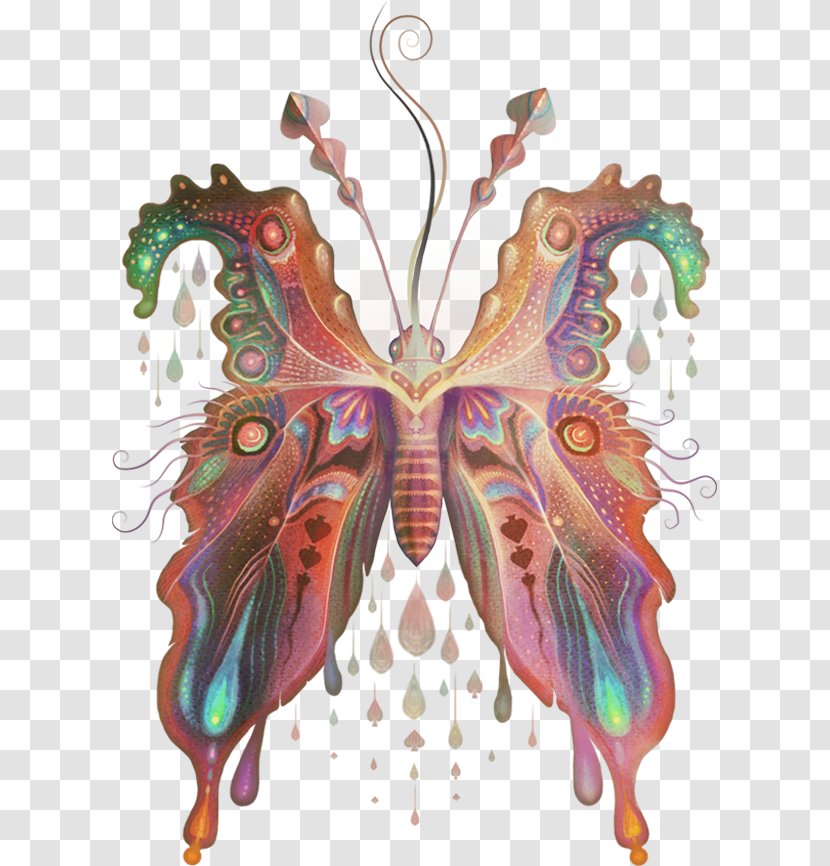 Moth Costume Design Symmetry Legendary Creature - Mythical - Insect Transparent PNG