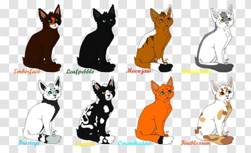 Kitten Whiskers Cat Warriors Dog - Wildlife Transparent PNG