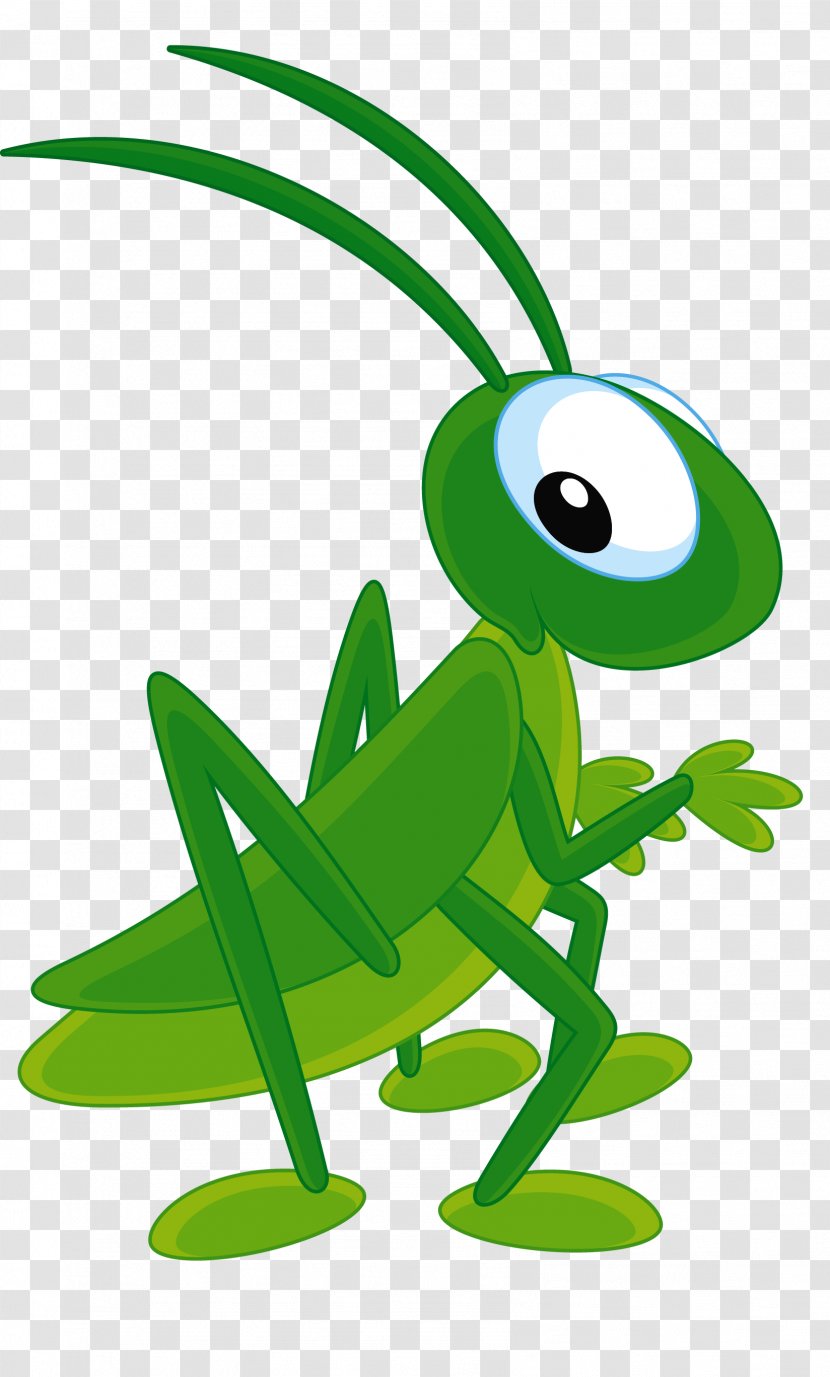 Insect Cartoon Bee Clip Art - Organism - Green Grasshopper Transparent PNG