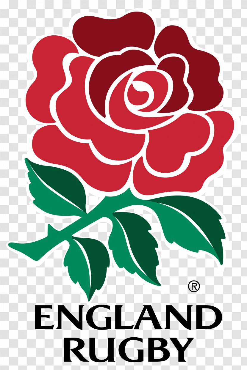 England National Rugby Union Team Six Nations Championship Irish - Garden Roses Transparent PNG