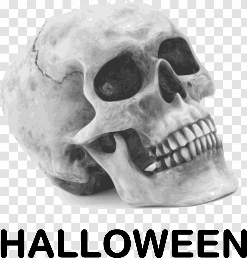 Calavera Skull Halloween Human Skeleton Clip Art - Black And White Transparent PNG