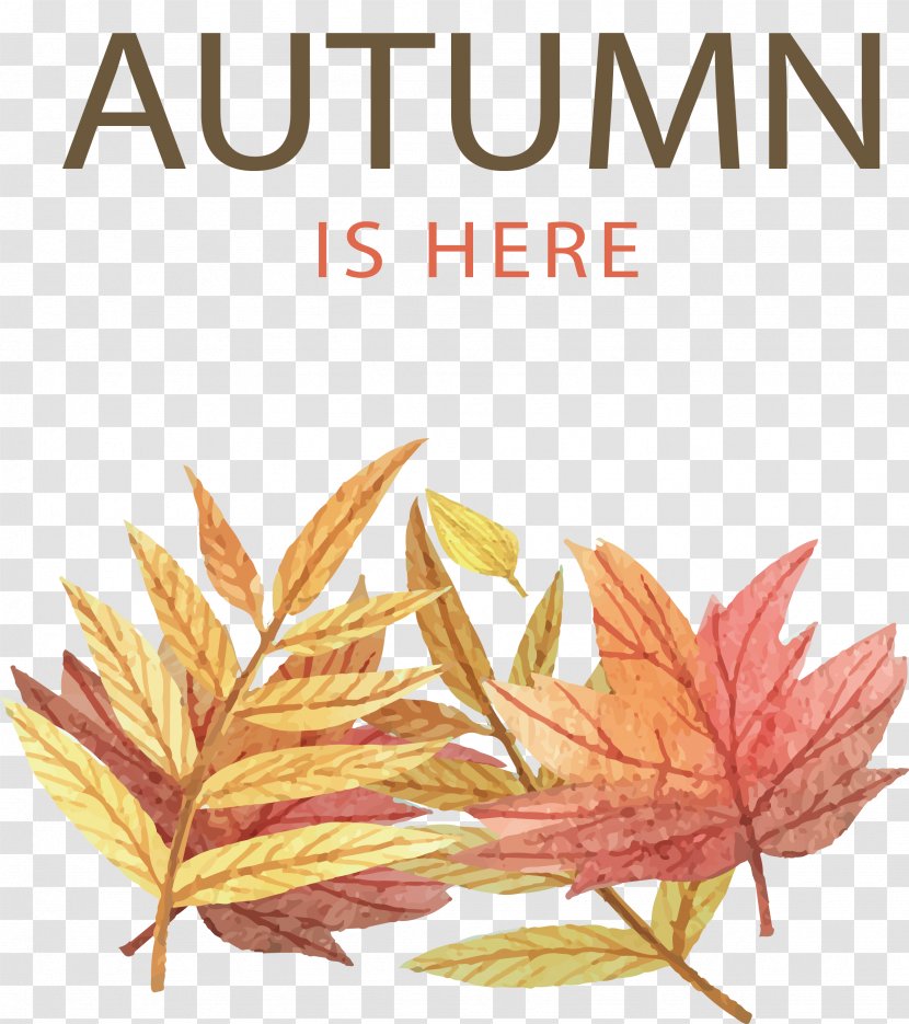 Autumn Leaf Color Illustration - Has Come Transparent PNG